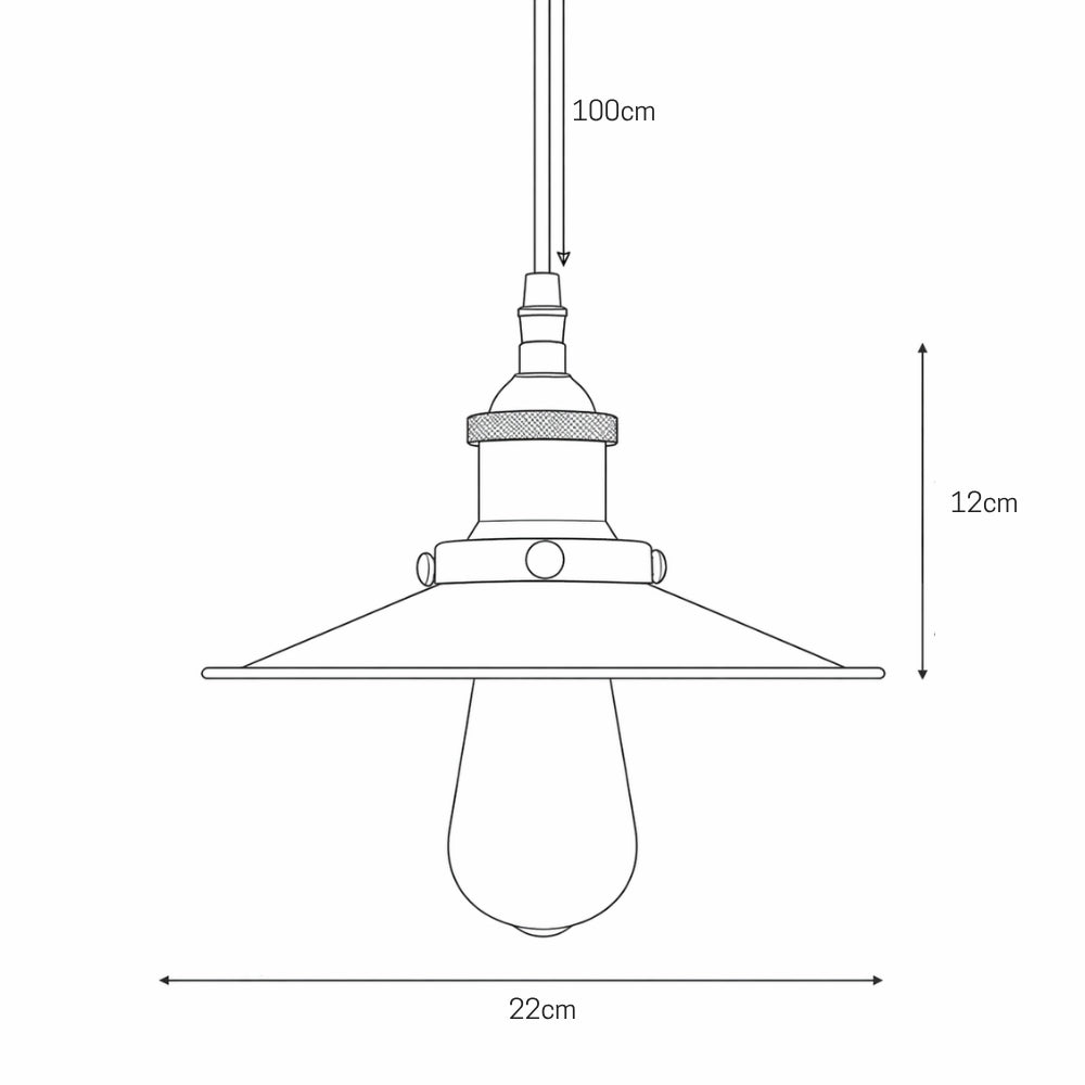 Hudson Rustic Metal Pendant Light