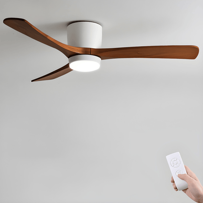 Arden Ceiling Fan Light