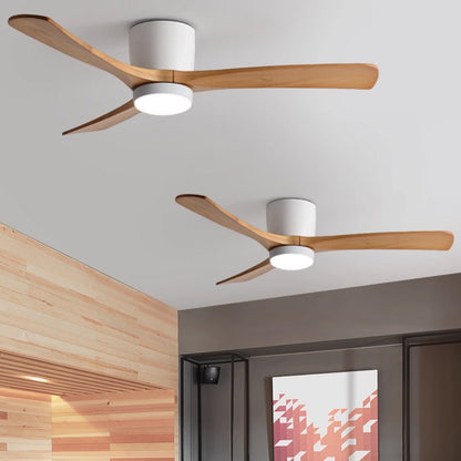 Arden Ceiling Fan Light