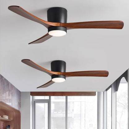 Arden Ceiling Fan Light
