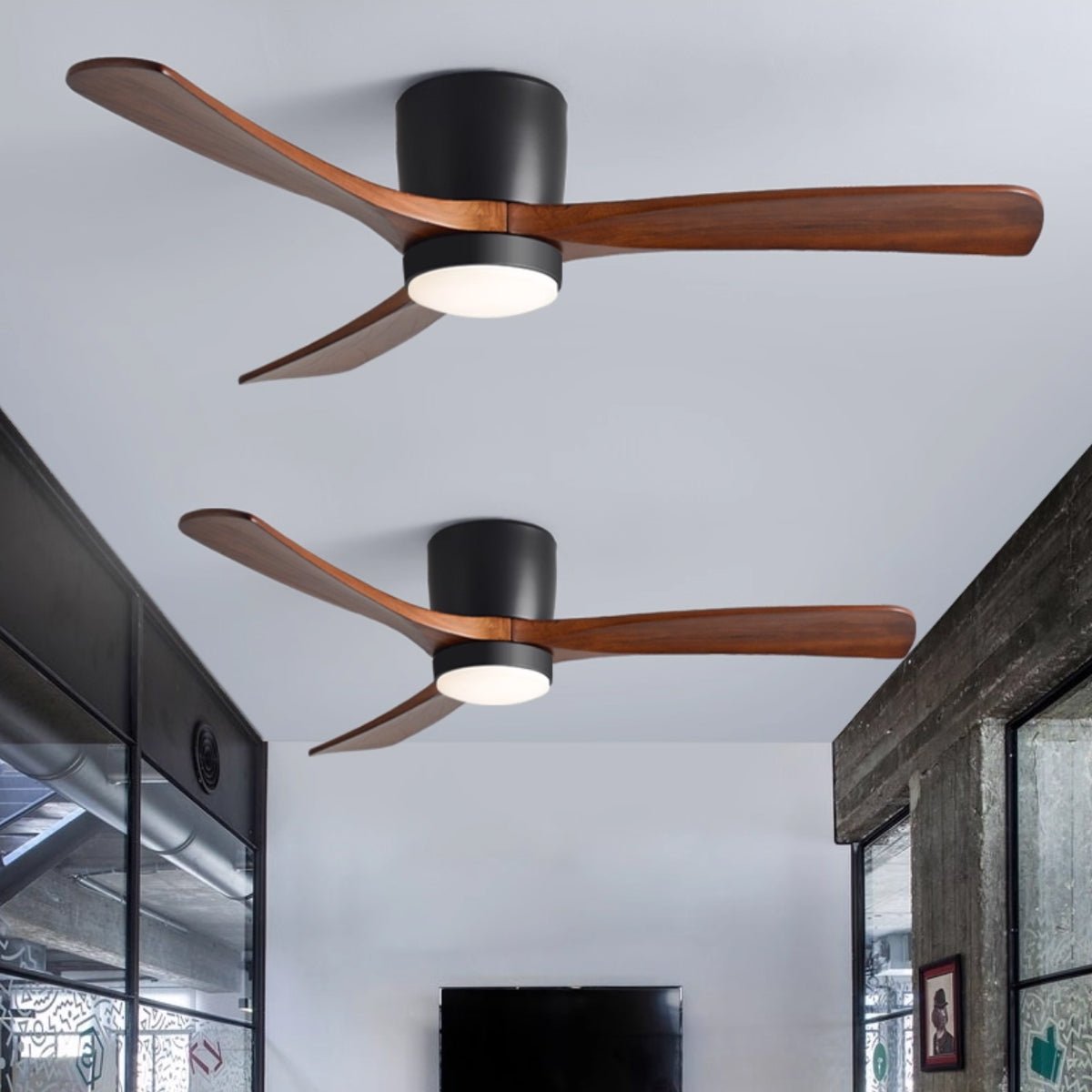 Arden Ceiling Fan Light