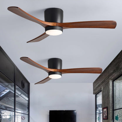 Arden Ceiling Fan Light