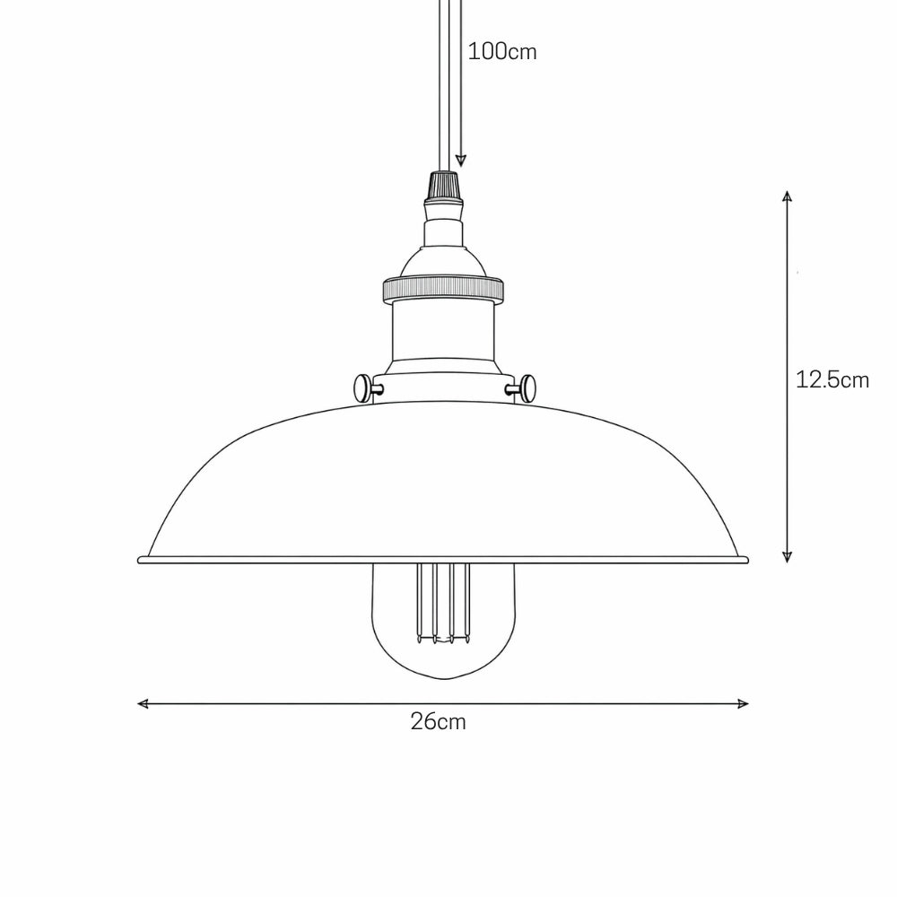 Hudson Rustic Metal Pendant Light
