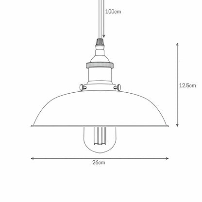 Hudson Rustic Metal Pendant Light