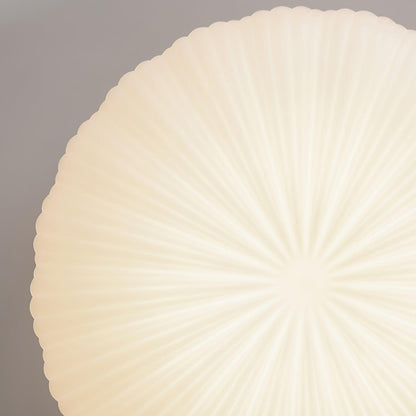 Aurelia Ribbed Shell Ceiling Light
