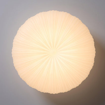 Aurelia Ribbed Shell Ceiling Light