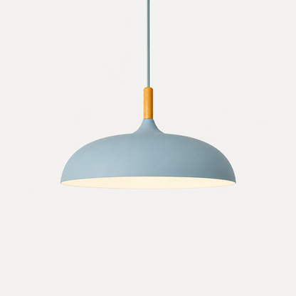 Colorful Metal Ceiling Pendant Light