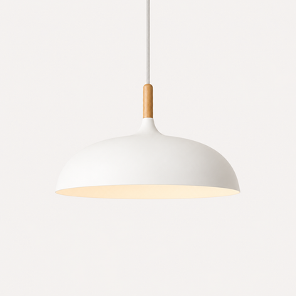 Colorful Metal Ceiling Pendant Light