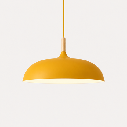 Colorful Metal Ceiling Pendant Light