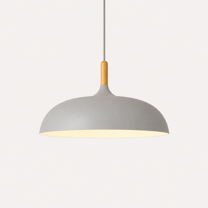 Colorful Metal Ceiling Pendant Light