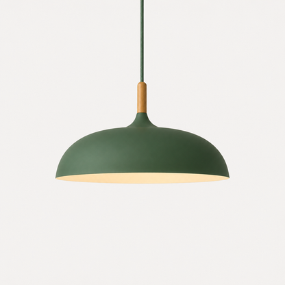 Colorful Metal Ceiling Pendant Light