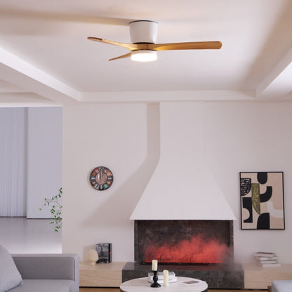 Arden Ceiling Fan Light