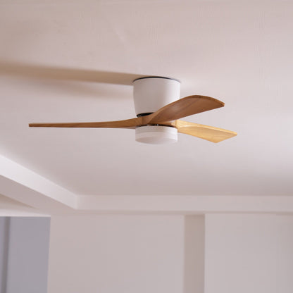 Arden Ceiling Fan Light