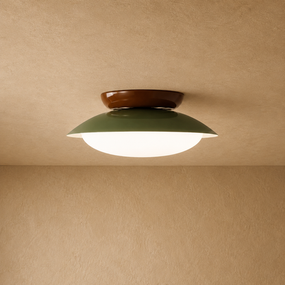 Hudson Minimalist Ceiling Light