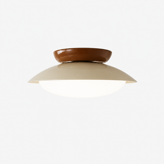 Hudson Minimalist Ceiling Light