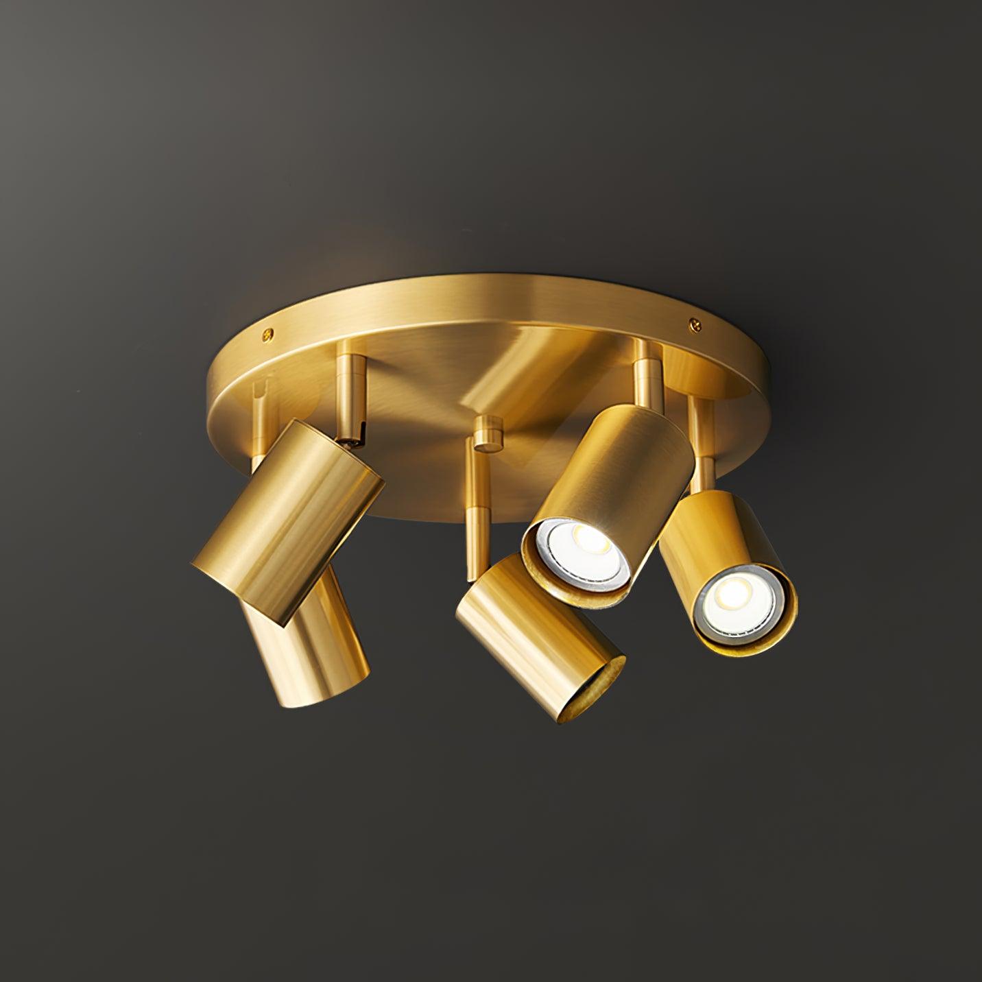 Aero Metal Ceiling Spotlight