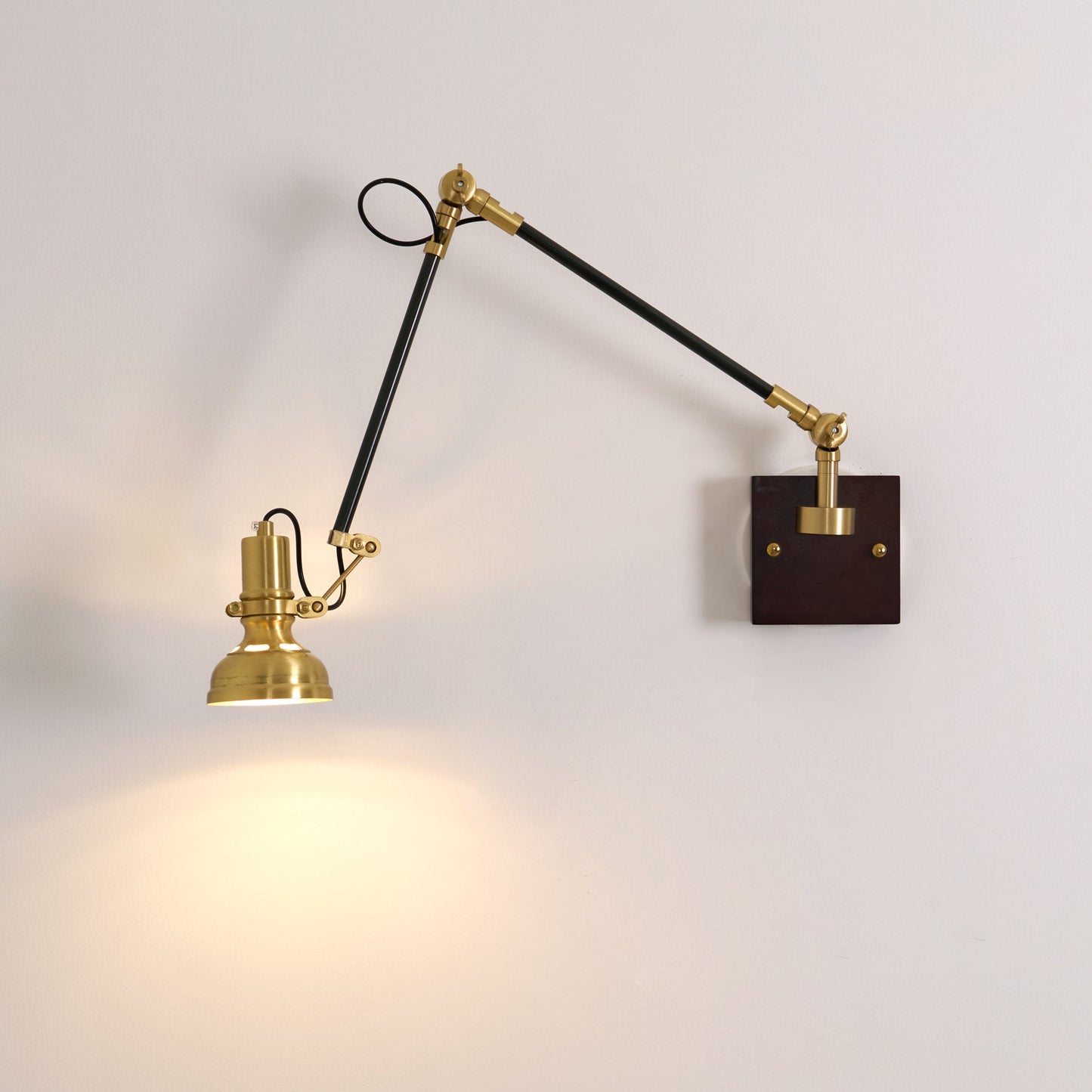 Velora Swing Arm Wall Lamp