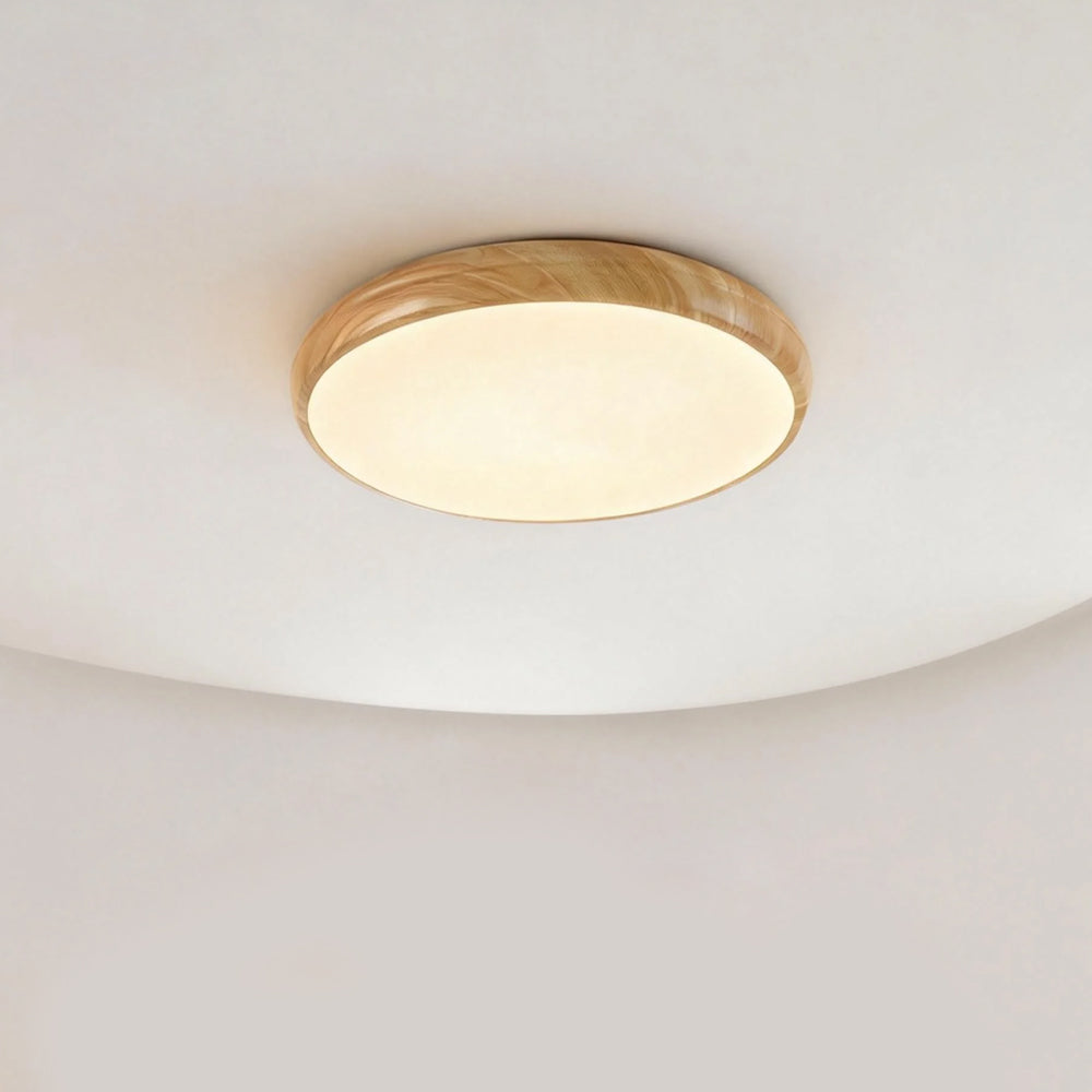 Celeste Modern Round Ceiling Light