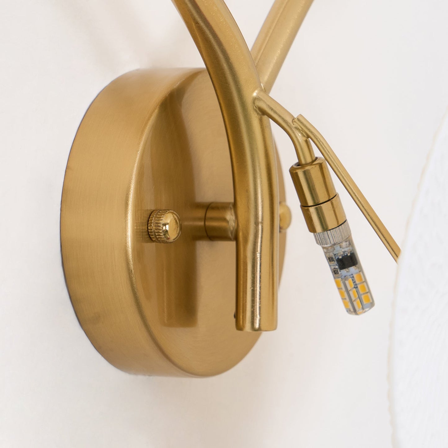 Avelisse Lotus Petal Wall Light