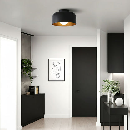 Lurosa Ceiling Light