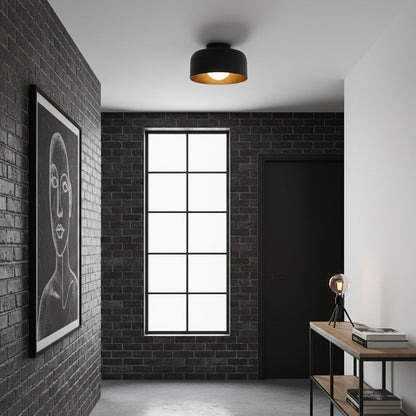 Lurosa Ceiling Light