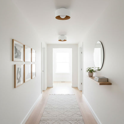 Lurosa Ceiling Light