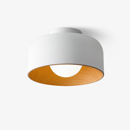 Lurosa Ceiling Light
