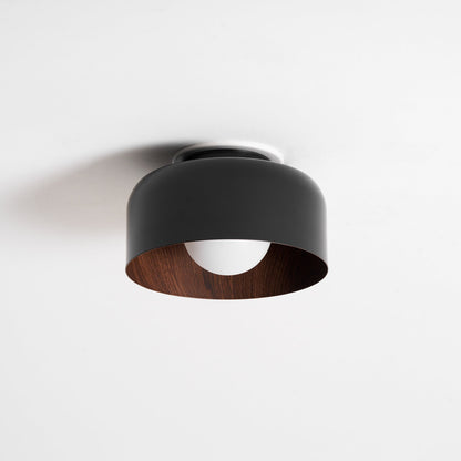 Lurosa Ceiling Light