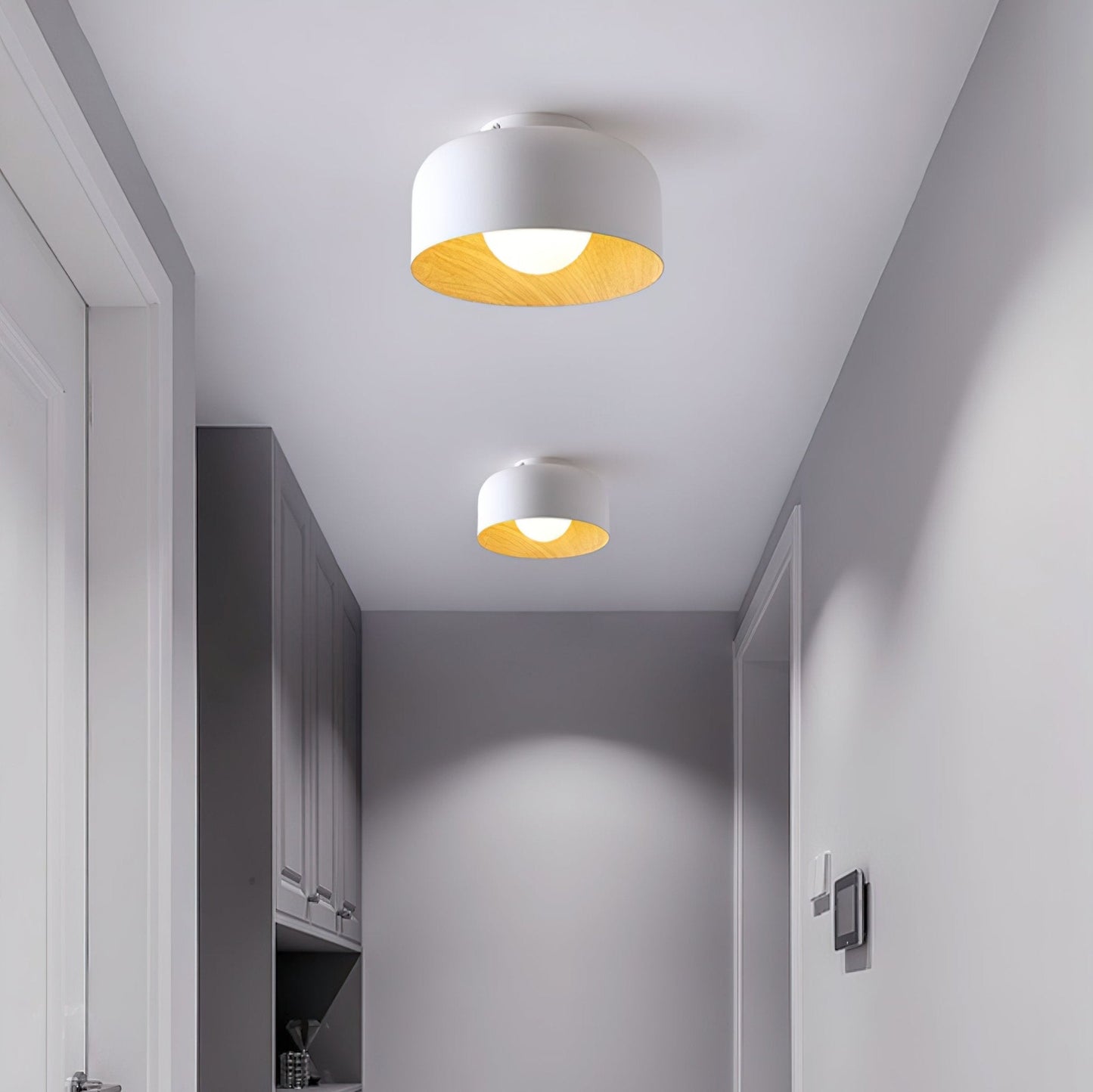 Lurosa Ceiling Light