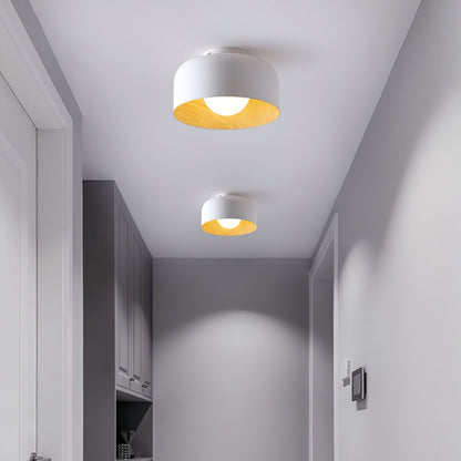 Lurosa Ceiling Light