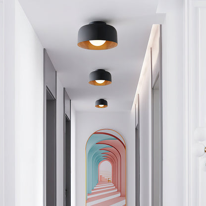 Lurosa Ceiling Light
