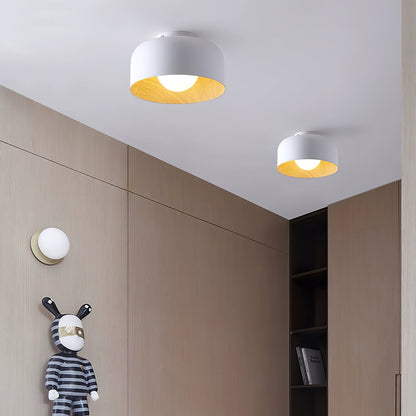Lurosa Ceiling Light
