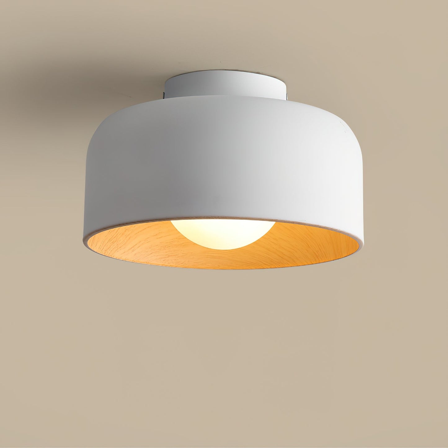 Lurosa Ceiling Light