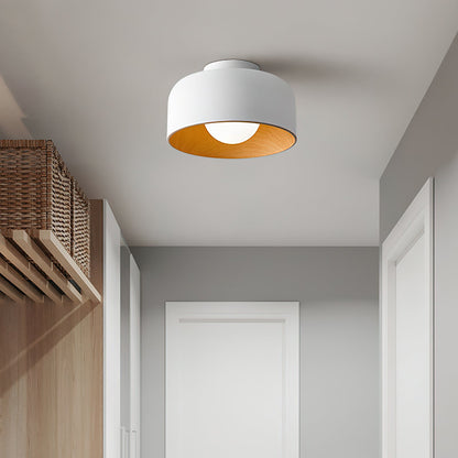 Lurosa Ceiling Light
