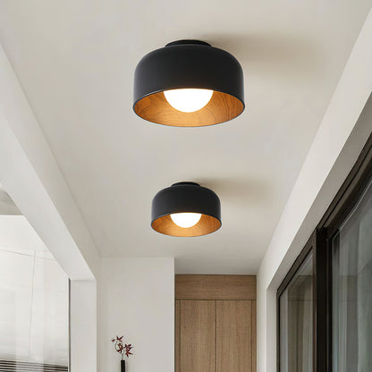 Lurosa Ceiling Light