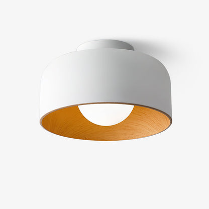 Lurosa Ceiling Light
