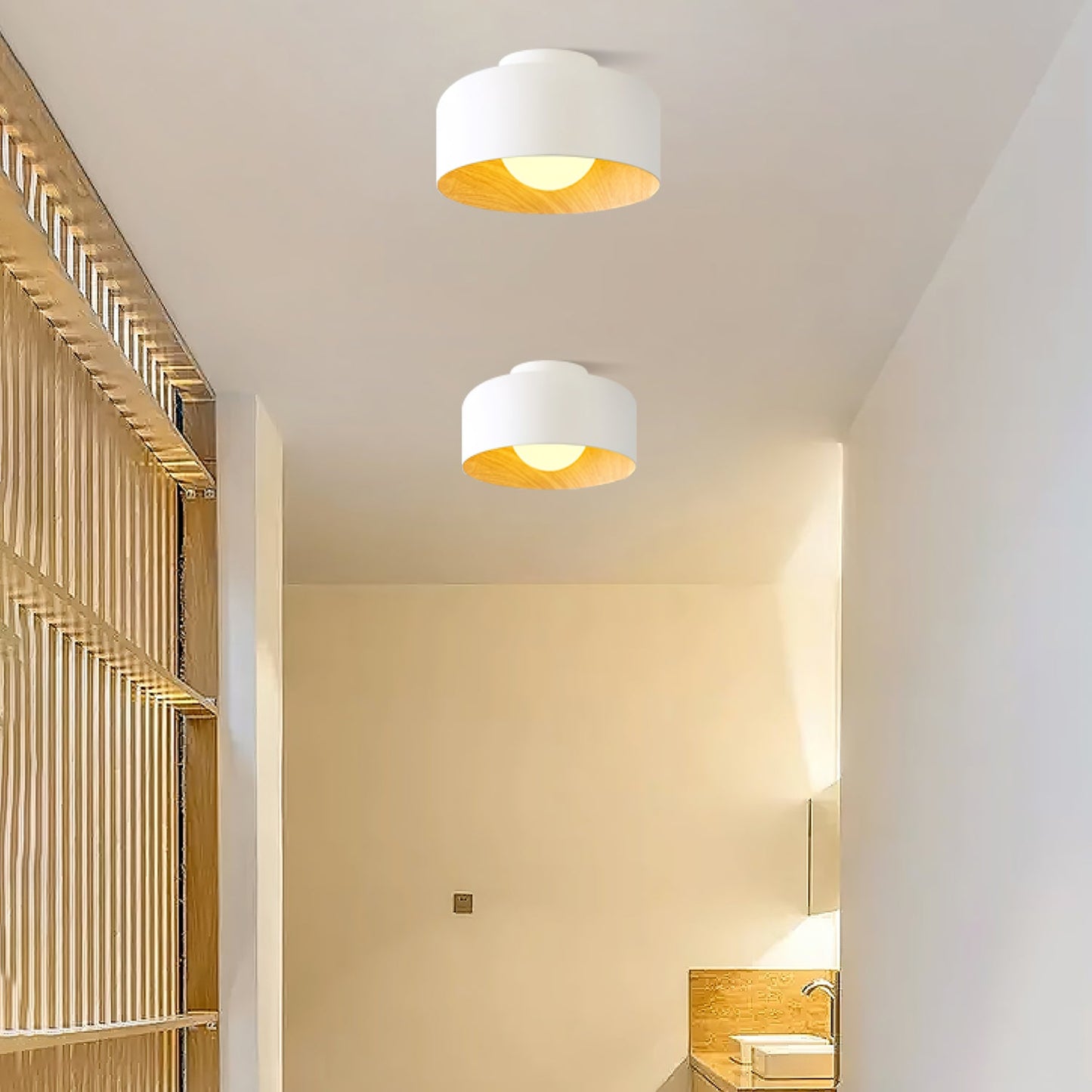 Lurosa Ceiling Light
