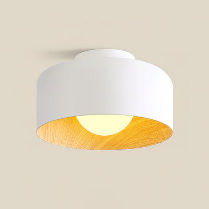 Lurosa Ceiling Light