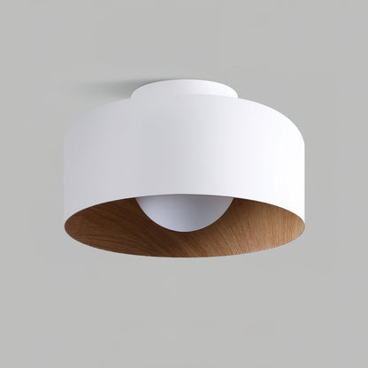 Lurosa Ceiling Light