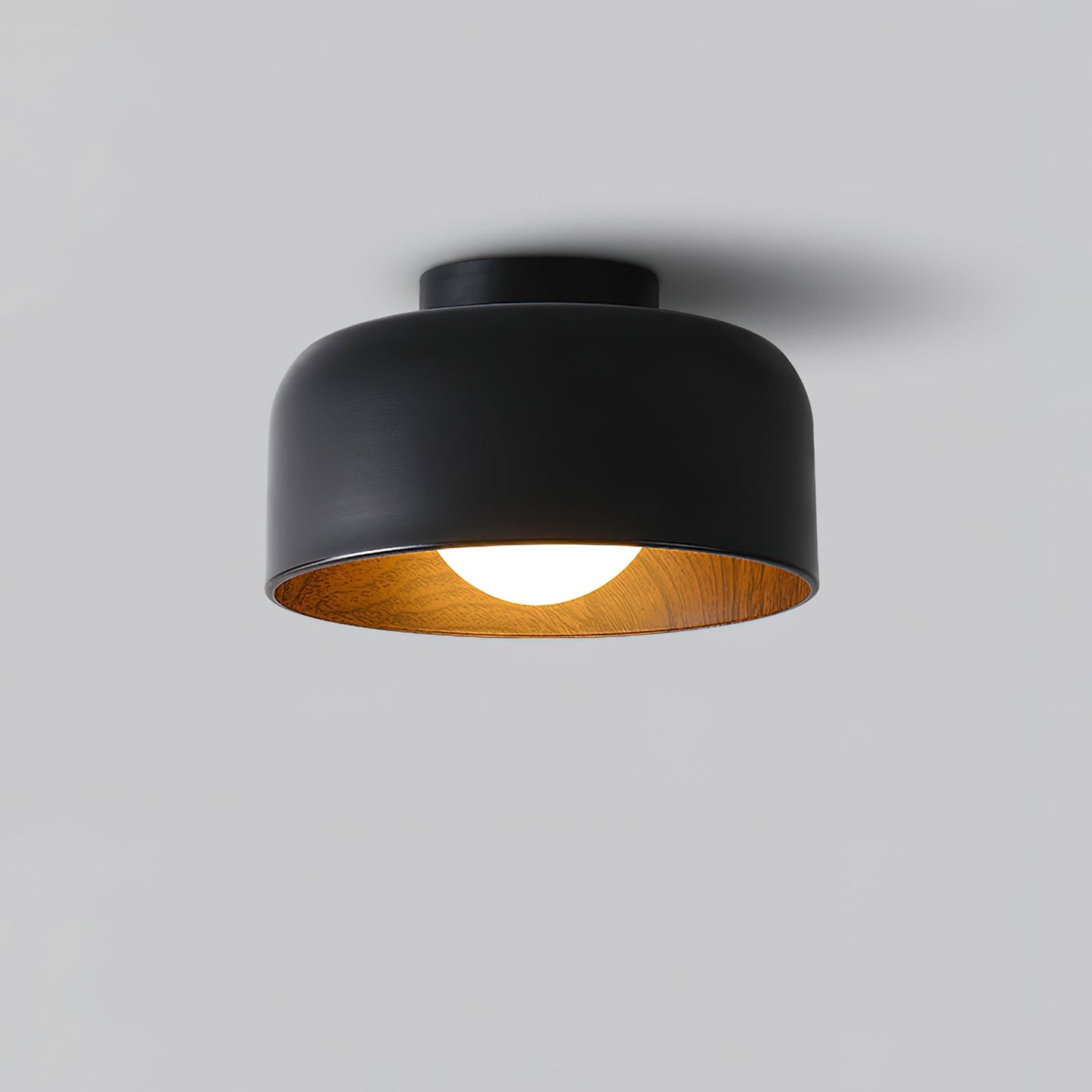 Lurosa Ceiling Light