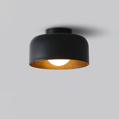Lurosa Ceiling Light