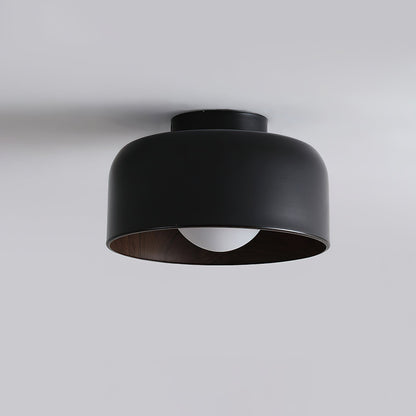 Lurosa Ceiling Light