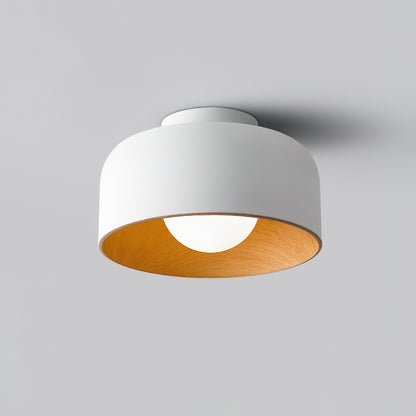 Lurosa Ceiling Light