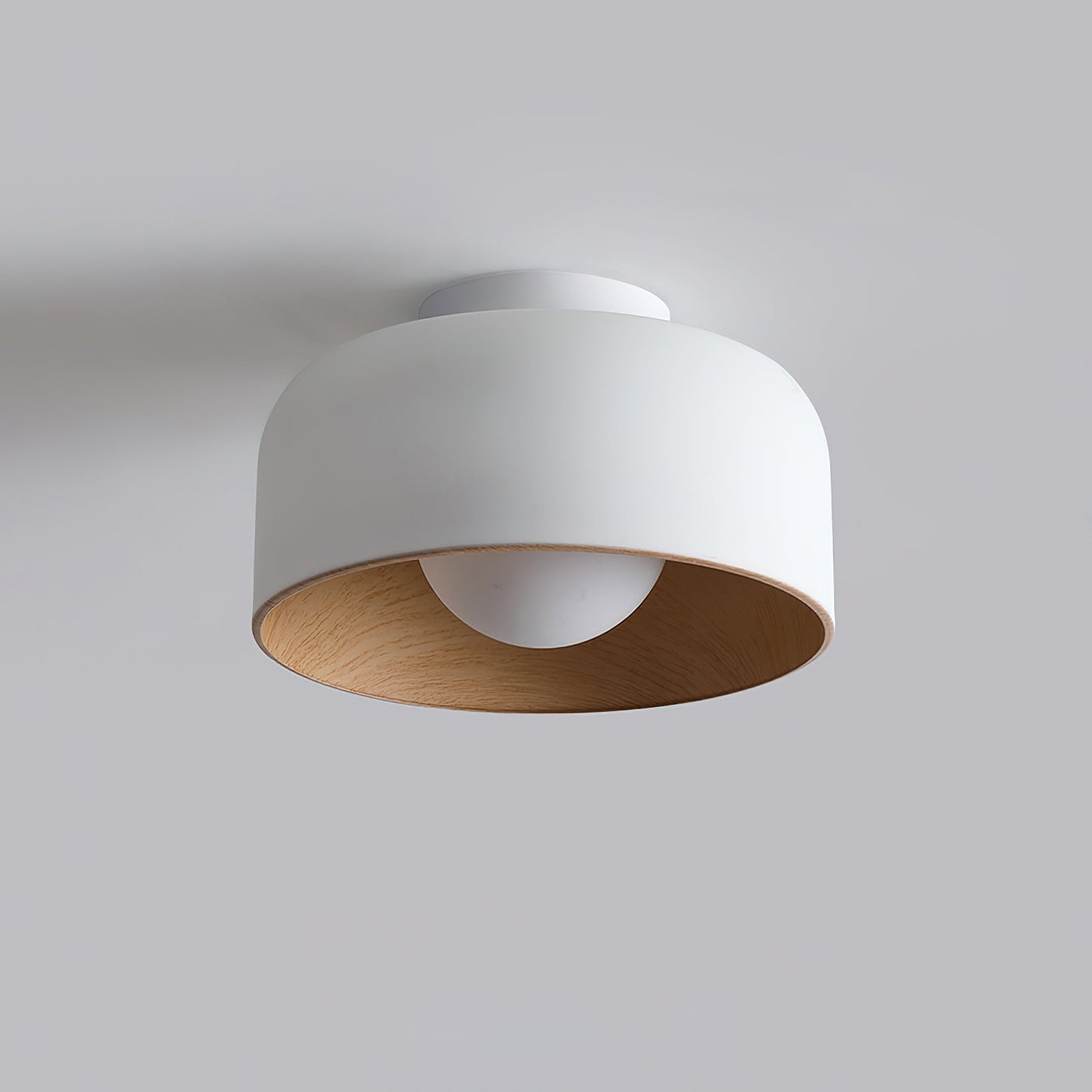 Lurosa Ceiling Light