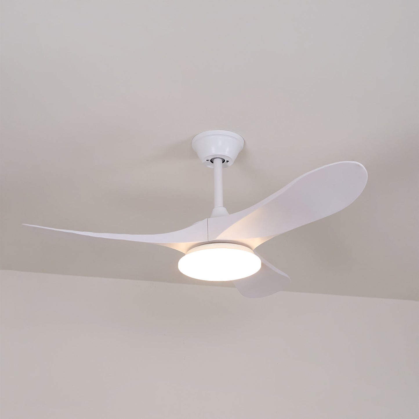 Averra Ceiling Fan Light