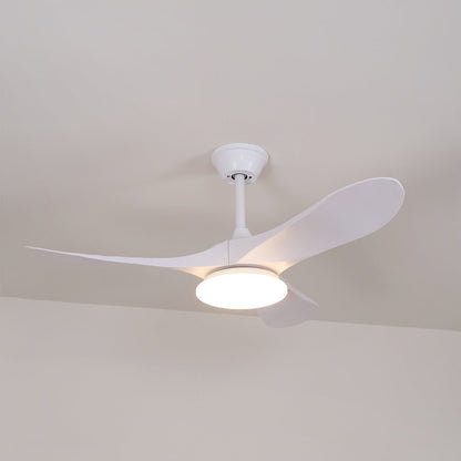 Averra Ceiling Fan Light