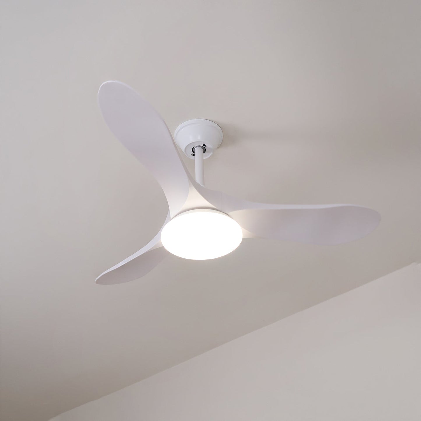 Averra Ceiling Fan Light