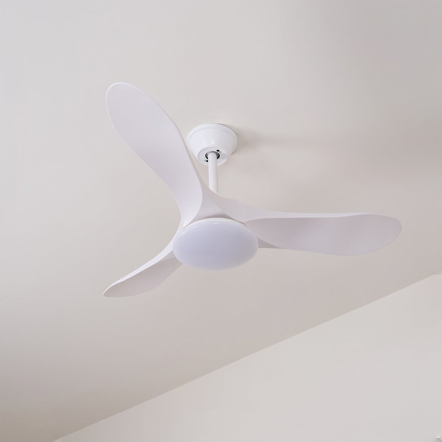 Averra Ceiling Fan Light