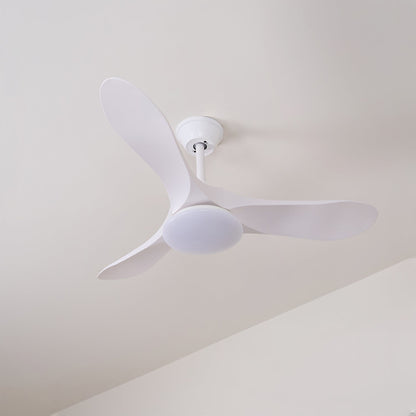Averra Ceiling Fan Light