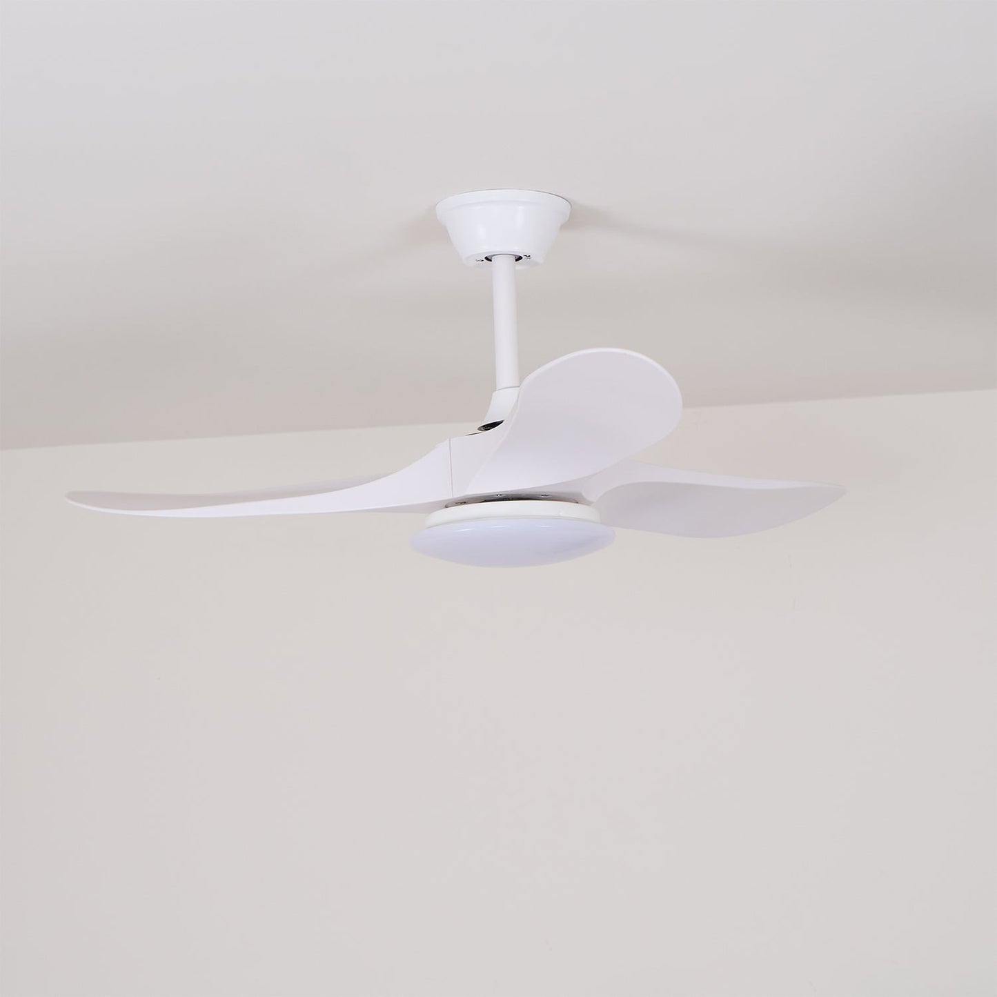 Averra Ceiling Fan Light